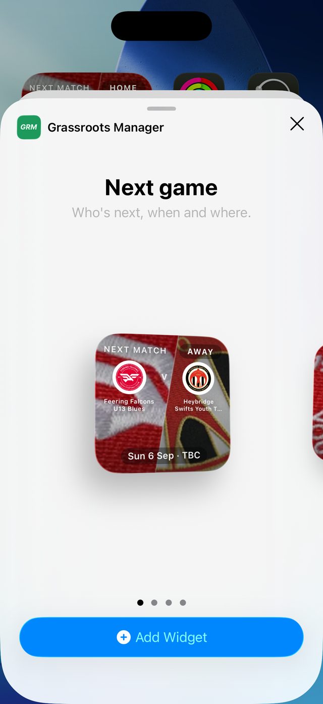 Pick Next game or My season, and a size